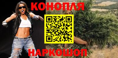 ALPHA PVP Гатчина