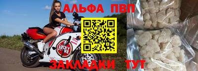 дмт Гай