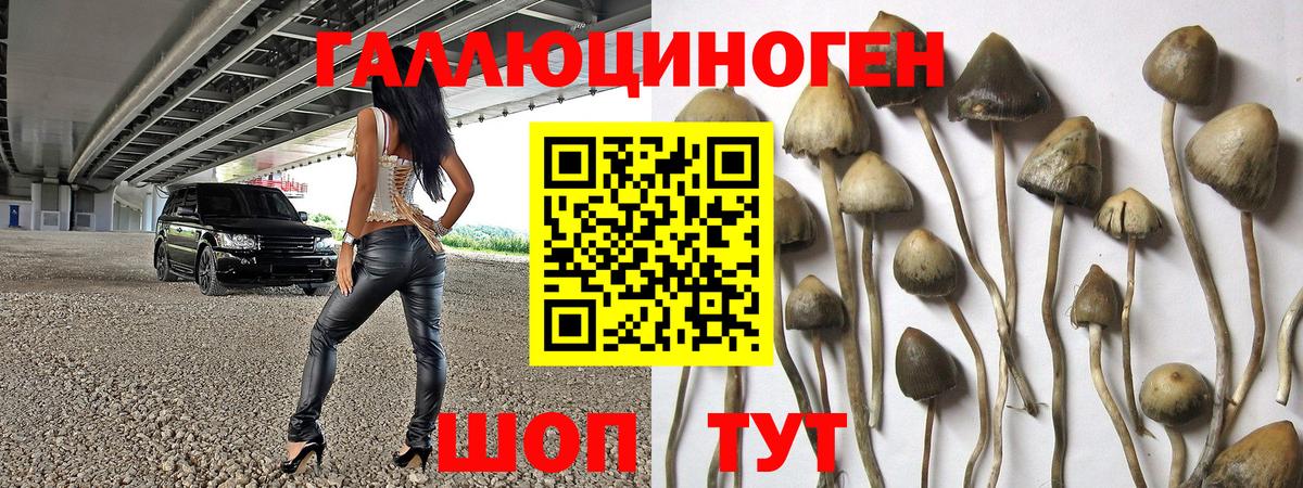 Мурманск  Галлюциногенные грибы ЛСД  Вход с VPN 