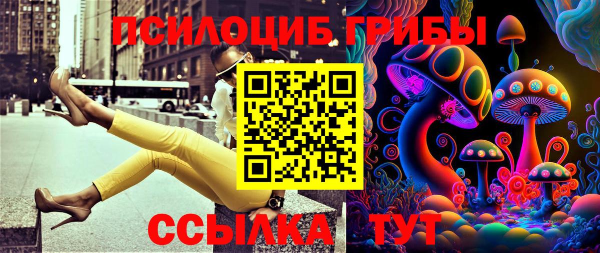 Псилоцибиновые грибы ЛСД Мурманск